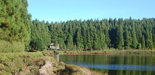 Découvrez l’incroyable São Miguel du Portugal voyage au portugal