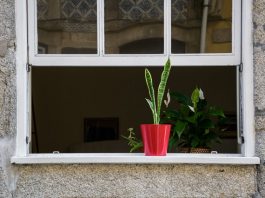 Quelle fenêtre choisir en rénovation ? renovation de fenetre