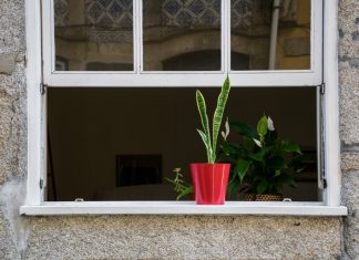 renovation de fenetre