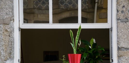 renovation de fenetre
